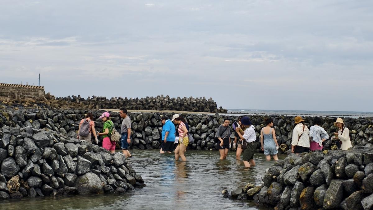 石滬是澎湖最重要的一項潮間帶漁撈活動。 圖:孫家銘攝